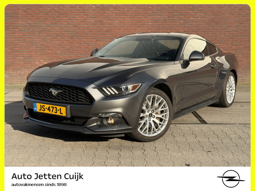 51797665-0.jpg